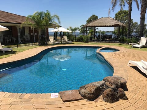 Outdoor pool, sun loungers