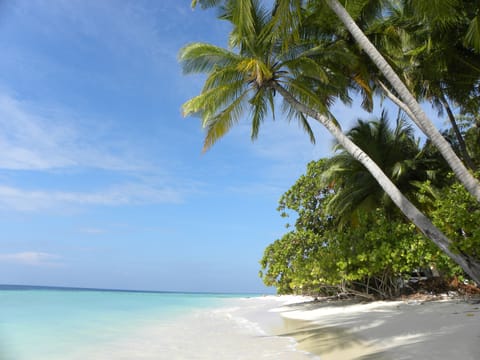 On the beach, white sand, sun loungers, beach towels