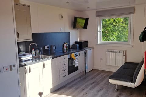 Studio | Private kitchen | Fridge, microwave, oven, stovetop