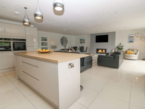 Fridge, dishwasher, electric kettle, toaster