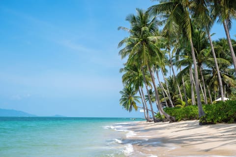 Private beach, white sand, beach umbrellas, beach towels