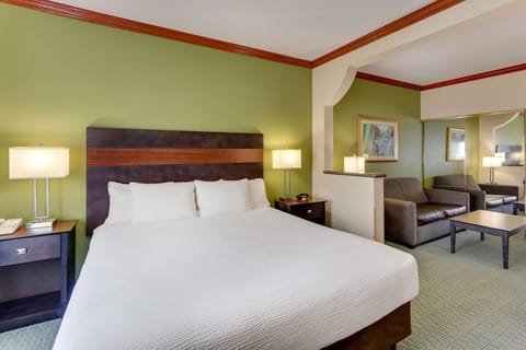 Premium bedding, down comforters, pillowtop beds, desk