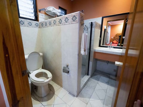 Shower, rainfall showerhead, towels