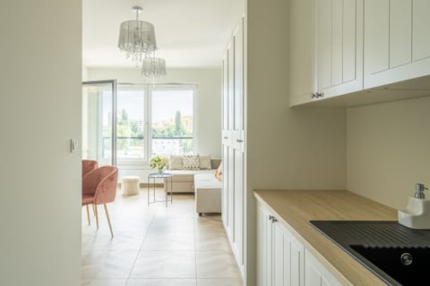Standard Apartment | Private kitchenette | Fridge, oven, stovetop, espresso maker