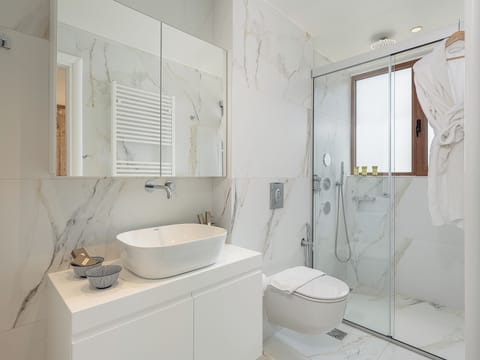 Deluxe Apartment | Bathroom | Shower, hydromassage showerhead, free toiletries, hair dryer