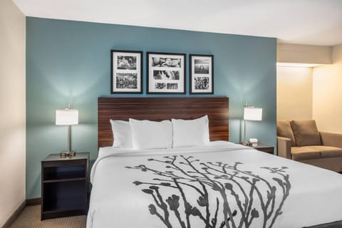 1 King Bed, 1-Person Pullout Sofa, Non-Smoking, No Pets Allowed | In-room safe, desk, laptop workspace, blackout drapes