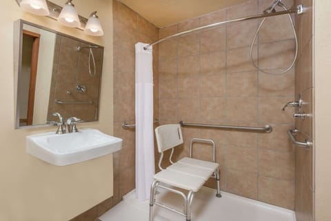 Room, 1 Queen Bed, Accessible, Non Smoking | Bathroom | Free toiletries, hair dryer, towels