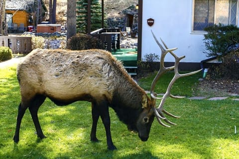 Studio | Exterior detail