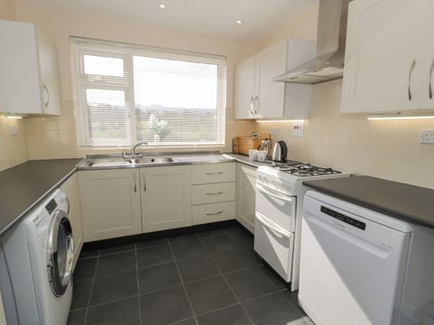 Fridge, dishwasher, electric kettle, toaster