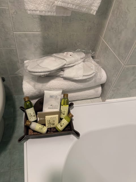 Deluxe Double or Twin Room | Bathroom | Free toiletries, hair dryer, slippers