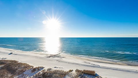 Condo, 2 Bedrooms | Beach | On the beach