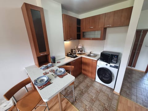 Apartment, 1 Bedroom, Balcony, Mountain View | Private kitchen