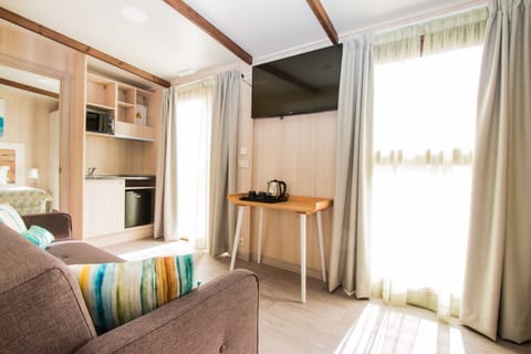 40-inch LCD TV with satellite channels, TV