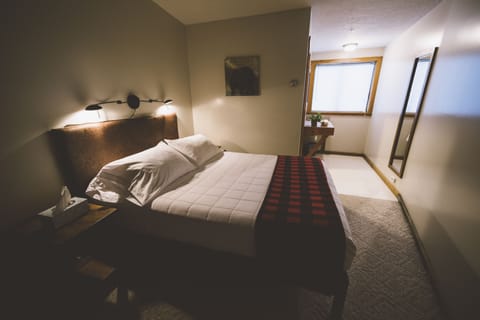 Standard Room, 1 Queen Bed, Private Bathroom | Laptop workspace, iron/ironing board, free cribs/infant beds