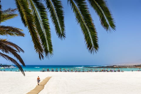 Beach nearby, white sand, beach towels, snorkeling