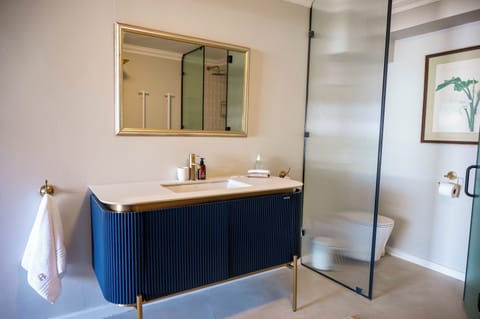 Luxury Double or Twin Room, Patio, Ground Floor | Bathroom | Hair dryer, soap, shampoo, toilet paper