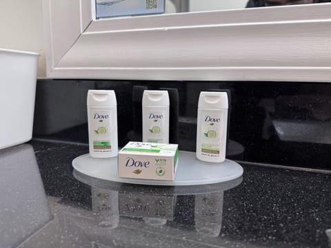 Business Room, 1 King Bed, Non Smoking | Bathroom | Combined shower/tub, free toiletries, hair dryer, towels