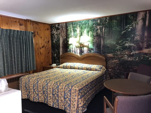 Room, 1 King Bed | View from room