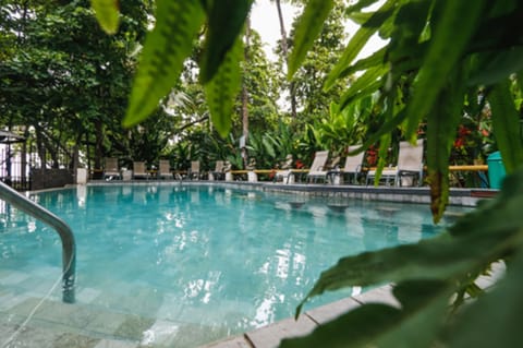 Outdoor pool, sun loungers