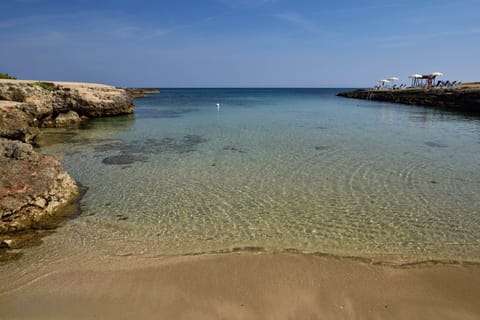 On the beach, sun loungers, beach umbrellas, beach volleyball