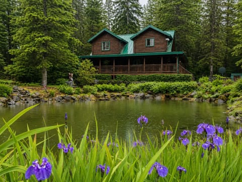 Moose Cabin  | WiFi (free), bed sheets