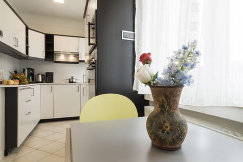 Deluxe Apartment | Private kitchen | Fridge, oven, dishwasher, electric kettle