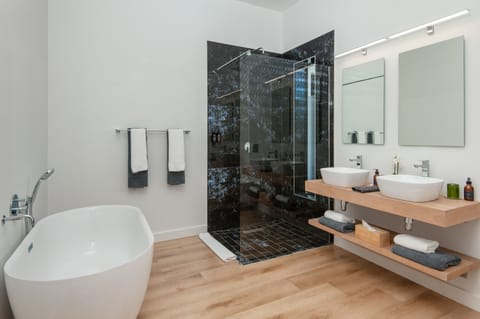 Hair dryer, towels, soap, shampoo