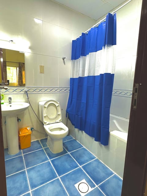 Separate tub and shower, hair dryer, bathrobes, slippers