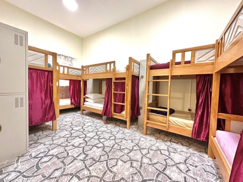 Executive Shared Dormitory, Mixed Dorm | Iron/ironing board, free WiFi, bed sheets
