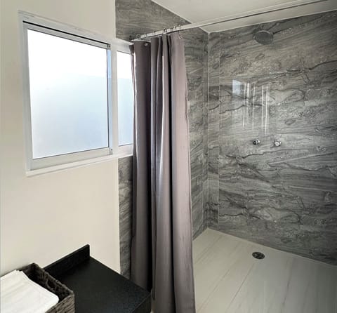 Premium Suite | Bathroom | Shower, rainfall showerhead, towels, soap