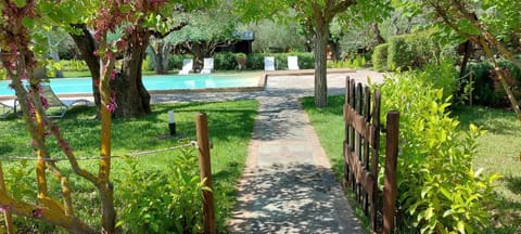 Seasonal outdoor pool, open 9:00 AM to 8:00 PM, sun loungers