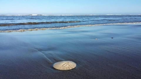 On the beach, white sand