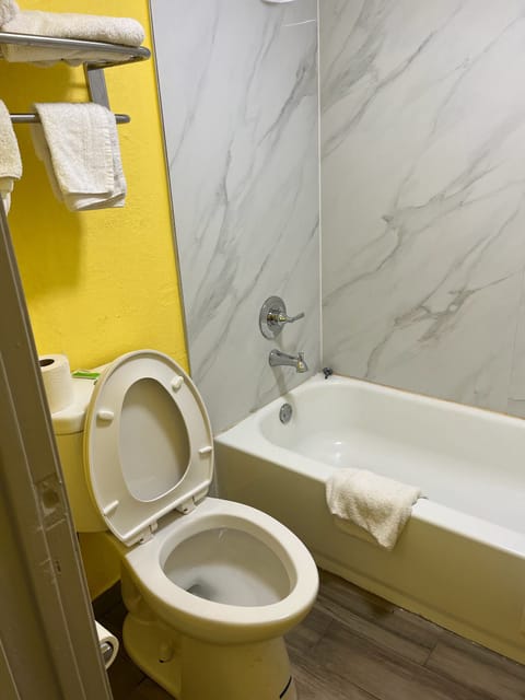 Hair dryer, soap, shampoo, toilet paper