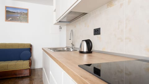 Apartment (1 Bedroom) | Private kitchen | Fridge, microwave, oven, stovetop