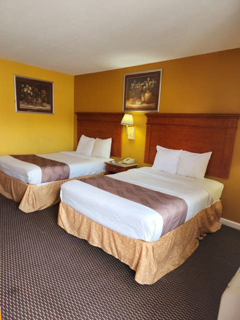 Basic Double Room | Living area