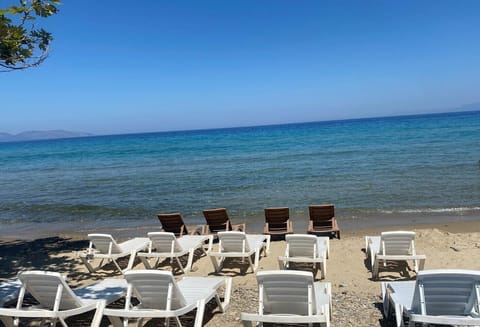 Sun loungers, beach umbrellas, beach towels