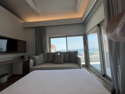 Panoramic Room | Living area