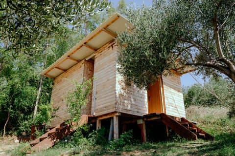 Tent | Shared bathroom