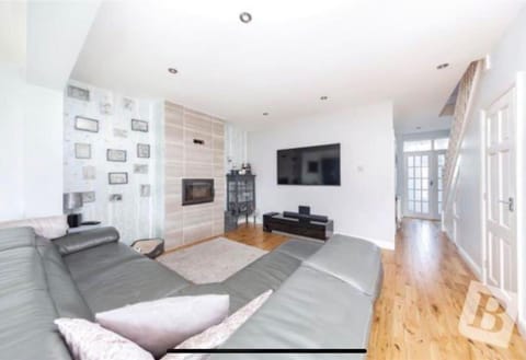 House | Living area | Fireplace