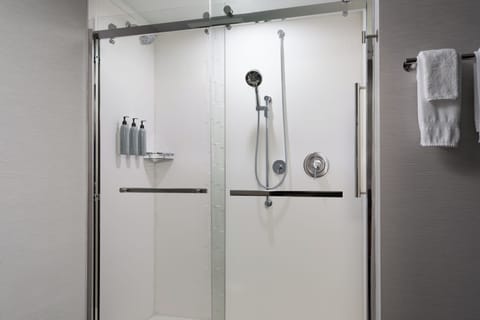 Hair dryer, towels, soap, shampoo