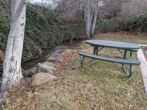 BBQ/picnic area