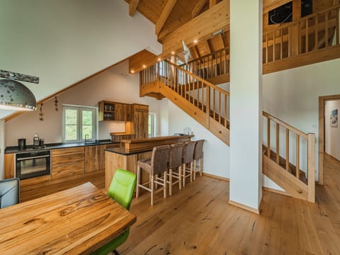 Penthouse Oberweiglhof - Dachstein West Apartment in Salzburgerland