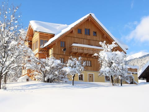 Penthouse Oberweiglhof - Dachstein West Apartment in Salzburgerland