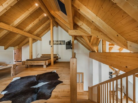 Penthouse Oberweiglhof - Dachstein West Apartment in Salzburgerland