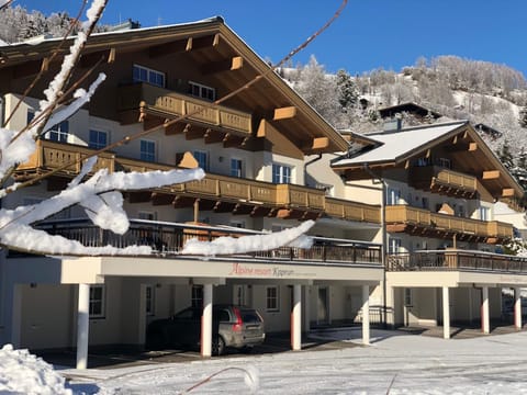 Alpinresort Kaprun top 1 Apartment in Piesendorf