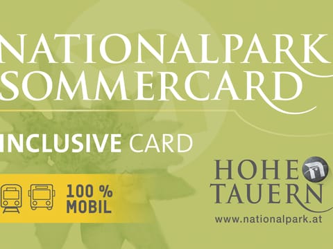 Felben Apartment in Salzburgerland