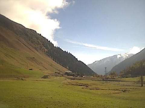 Wohnung Waldeslust in St. Sigmund im Sellrain Apartment in Tyrol