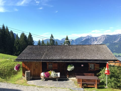 Property view