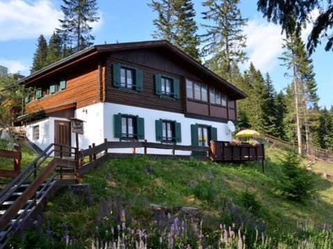 Almhaus am Hohenwart Vacation rental in Carinthia, Austria