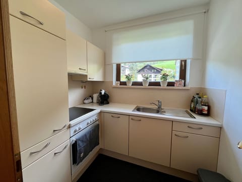 Enzian top 6 Apartment in Carinthia, Austria